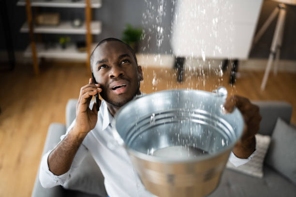 Best Basement water damage restoration  in Roland, OK