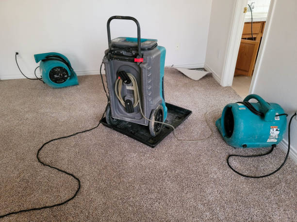 Best Water damage restoration services  in Roland, OK