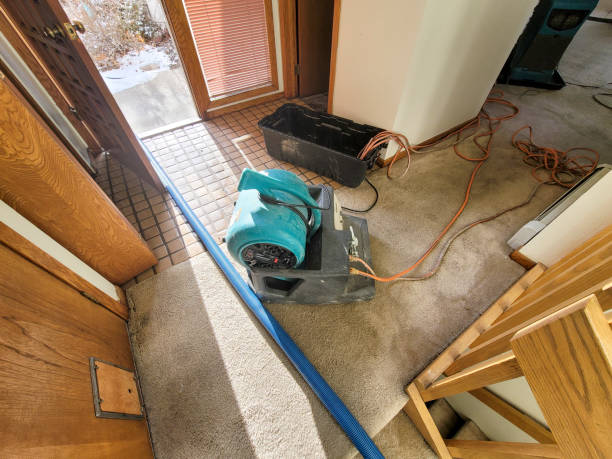 Best Commercial water damage restoration  in Roland, OK