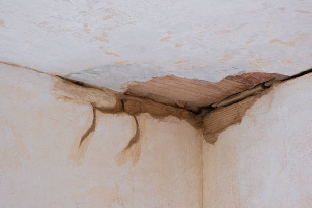 Best 24/7 water damage repair  in Roland, OK