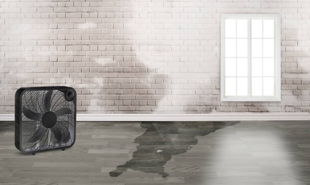 Best Water damage restoration process  in Roland, OK