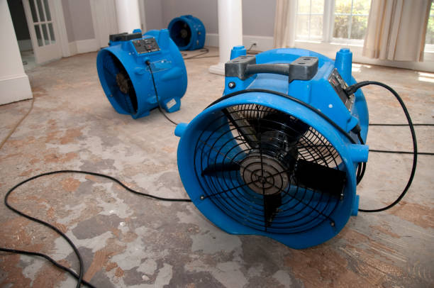 Best Flood damage cleanup  in Roland, OK